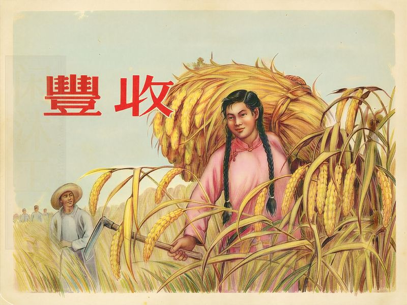 丰收