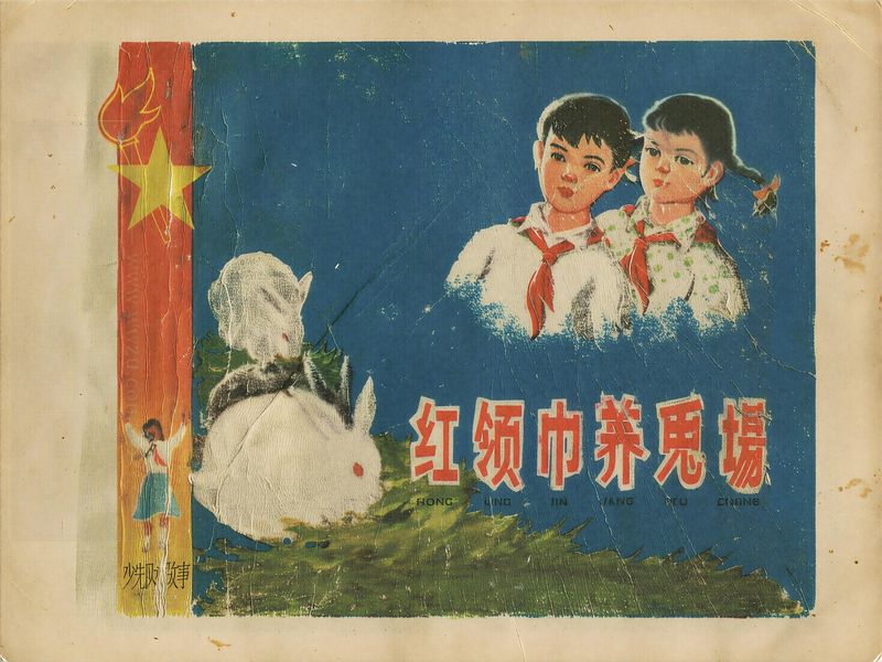 红领巾养兔场