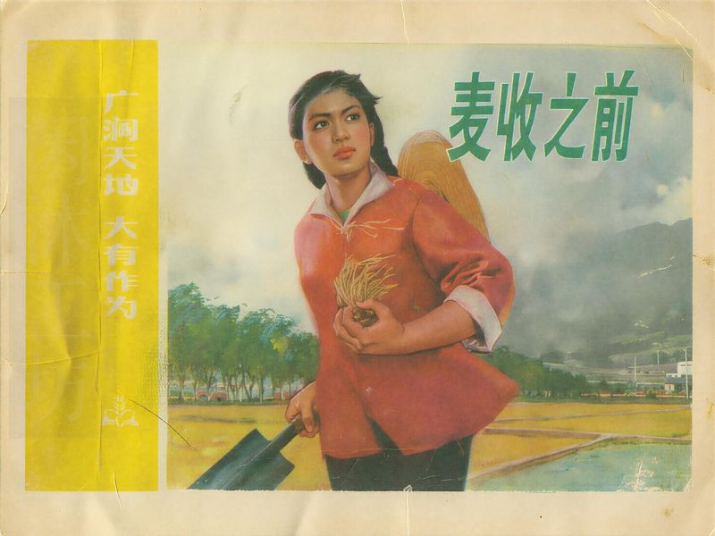 麦收之前